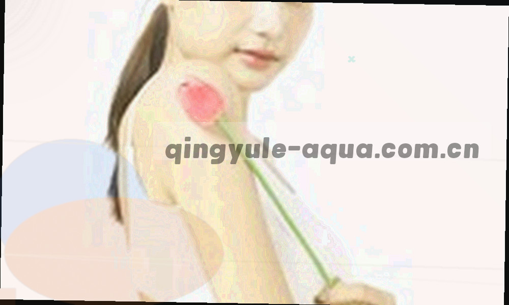 一条洋红边界线分隔开游客区与注册用户区，远端有金色光点